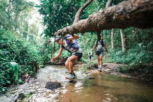 BIB: 
                            <button type="button" onclick="openModal(25368730)" class="btn btn-primary btn-sm float-right btn-popup" data-toggle="modal" data-target=".modal-high-quality">
                        <i class="fas fa-shopping-cart"></i> Add to Cart
                    </button>
                                            <button type="button" onclick="isThisMe(25368730, true)" class="btn btn-success btn-sm float-right btn-popup btn-isme hidden" data-toggle="tooltip" data-placement="bottom" title="นี่คือรูปของคุณใช่ไหม คลิกที่นี่เพื่อเอาเข้าอัลบั้ม">
                        <i class="fas fa-plus"></i> Add to album
                    </button>
                    <button type="button" onclick="isThisMe(25368730, false)" class="btn btn-warning btn-sm float-right btn-popup btn-isnotme hidden">
                        <i class="fas fa-ban"></i> Remove from album
                    </button>